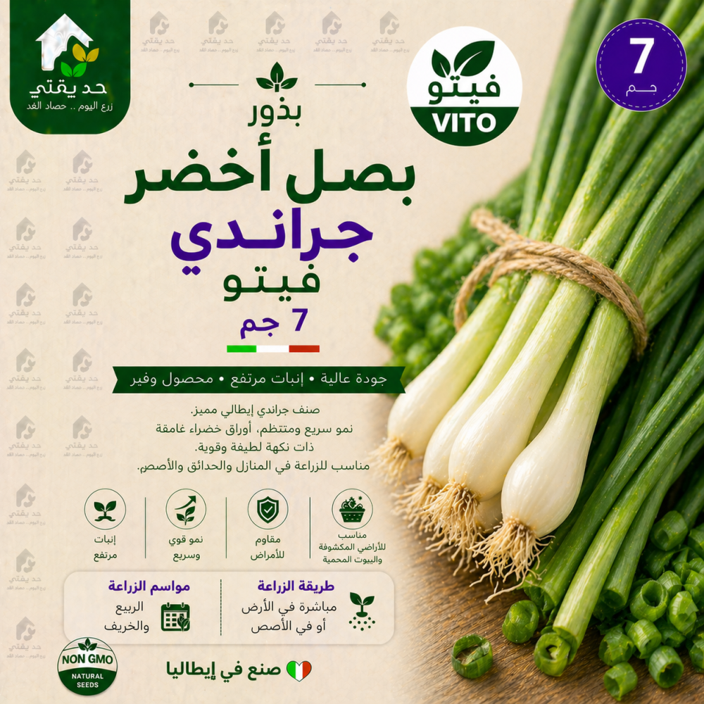 بذور بصل اخضر جراندي 7 جم فيتو