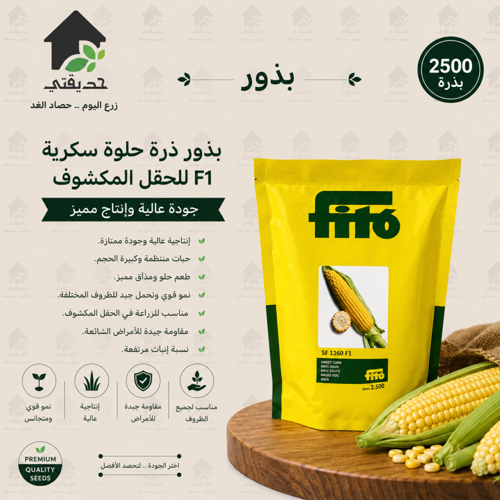 بذور ذرة حلوة سكرية F1 للحقل المكشوف 2500 بذرة