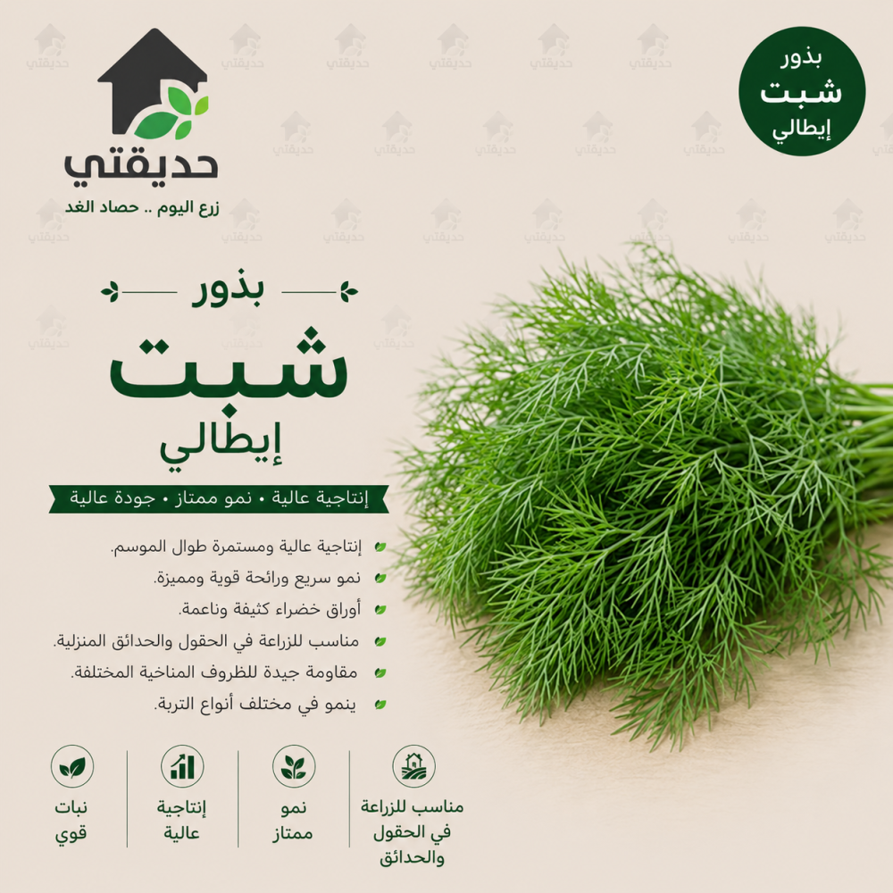 بذور شبت