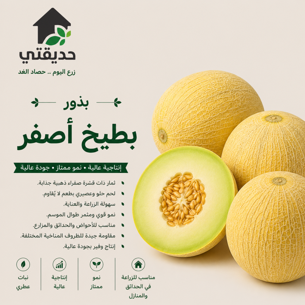 بذور بطيخ اصفر
