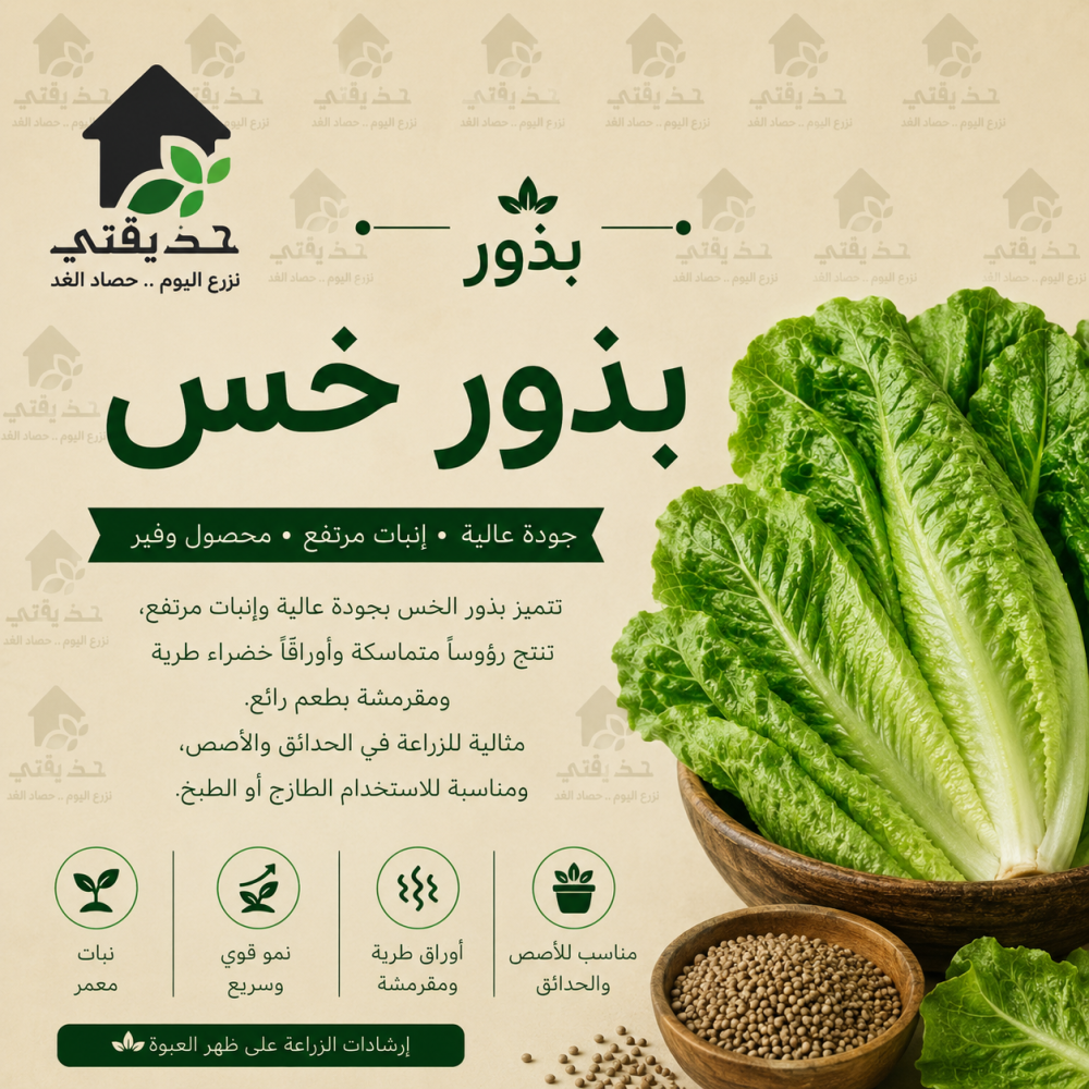 بذور خس