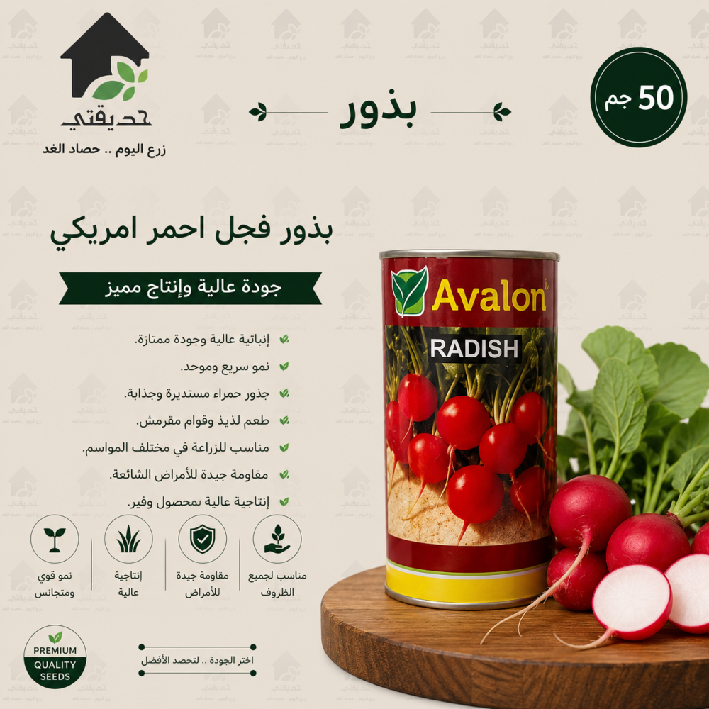 بذور فجل احمر امريكي 50جم