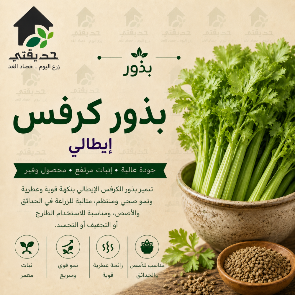 بذور كرفس ايطالي