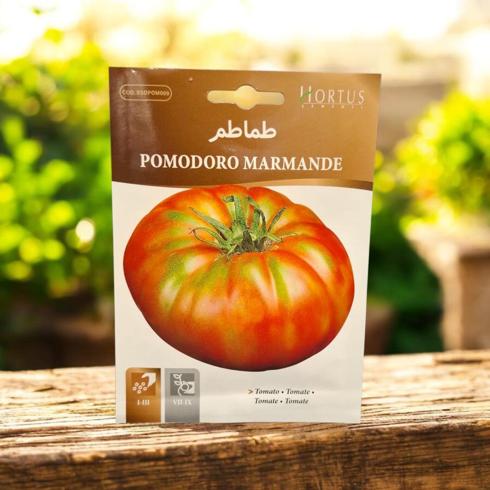 بذور طماطم