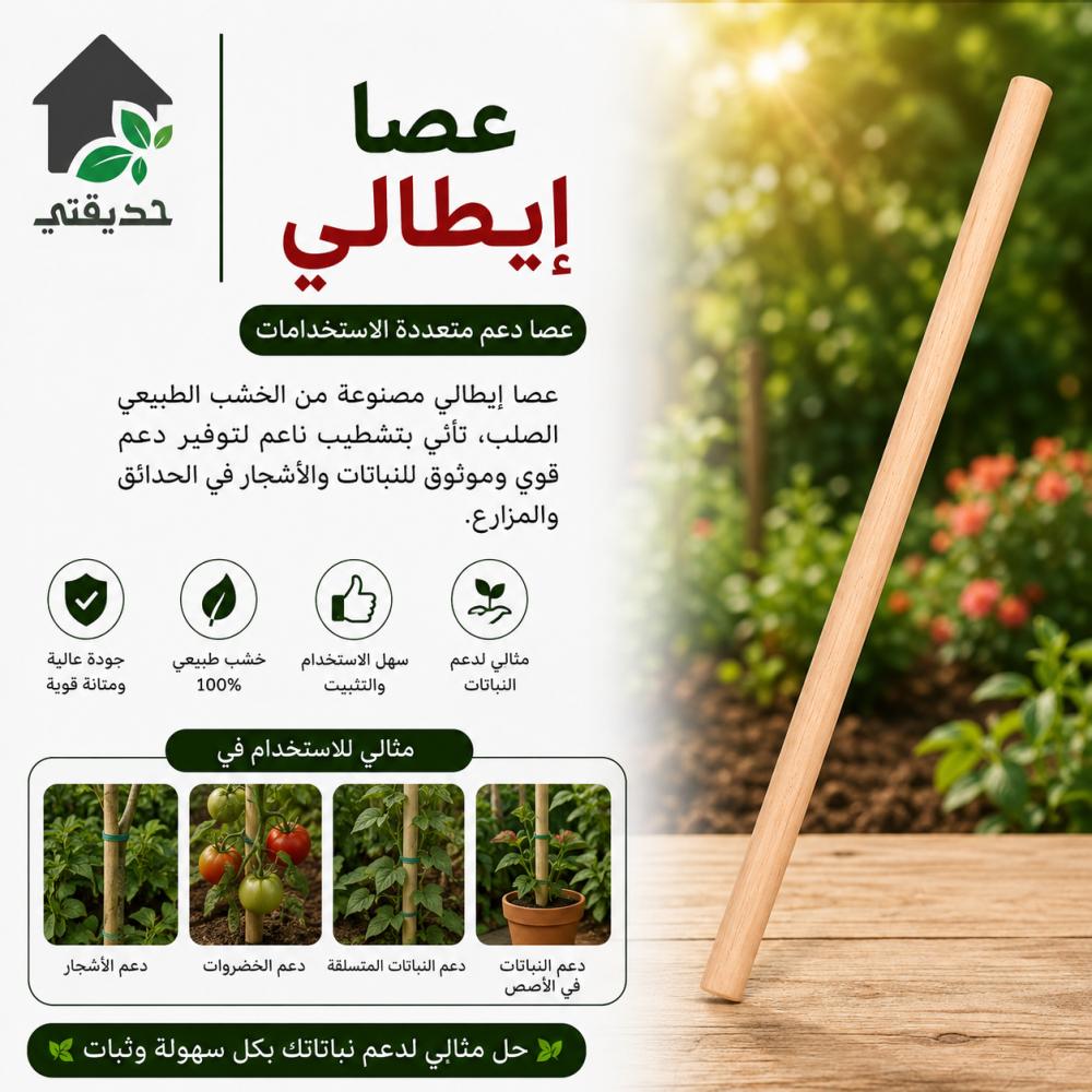 عصا ايطالي