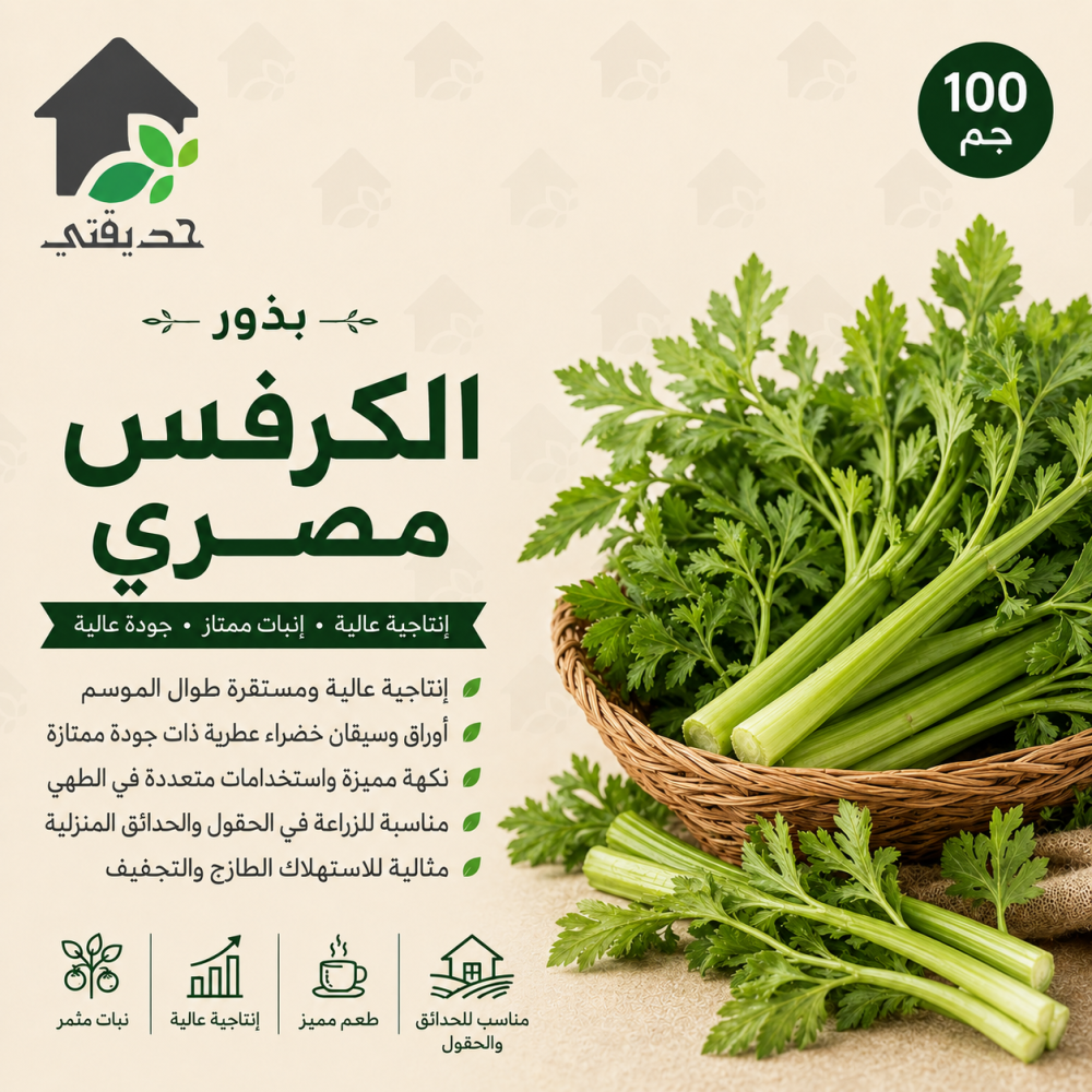 بذور الكرفس مصري 100 جم