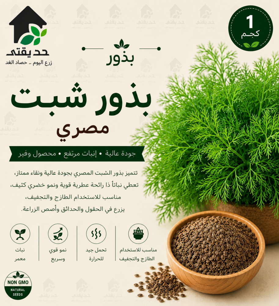 بذور شبت مصري 1 كجم