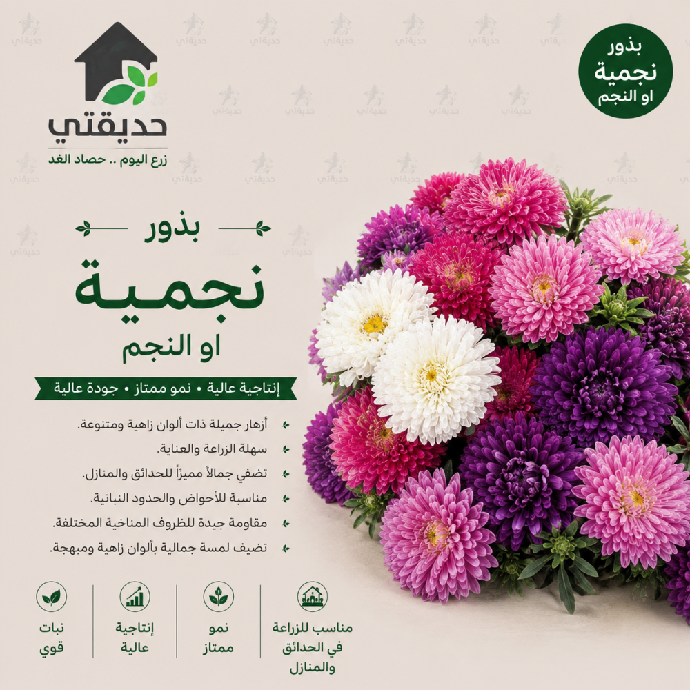 بذور نجمية او النجم