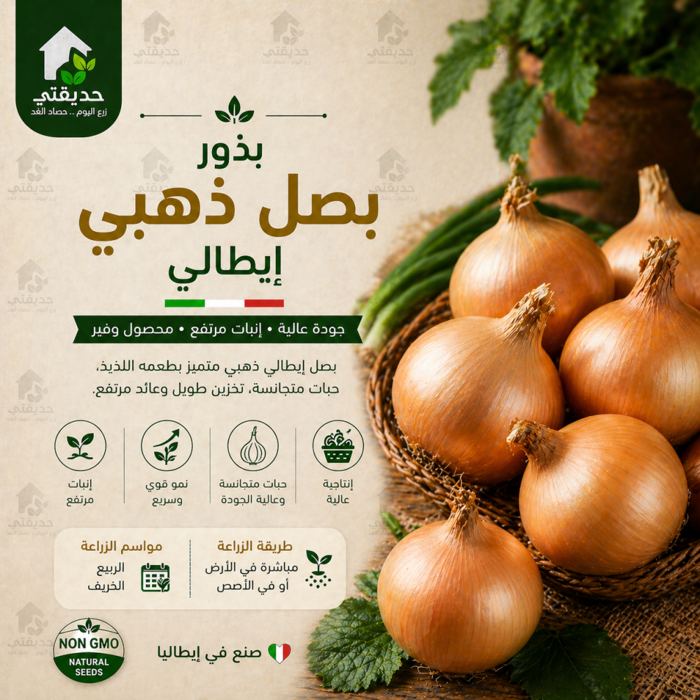بصل ذهبي ايطالي