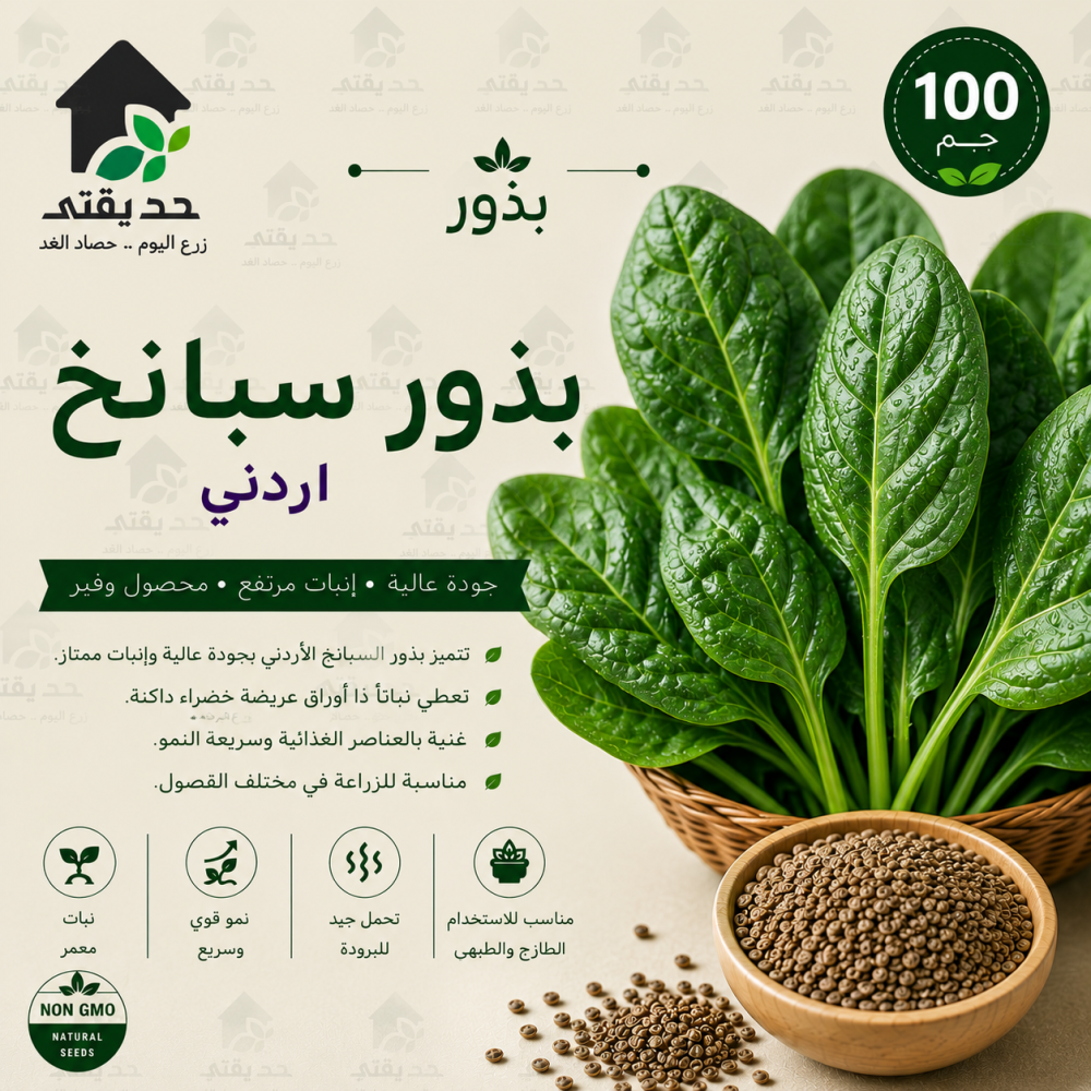 بذور سبانخ اردني  100 جم