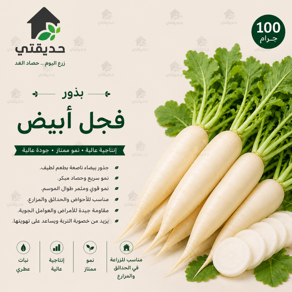 بذور فجل ابيض