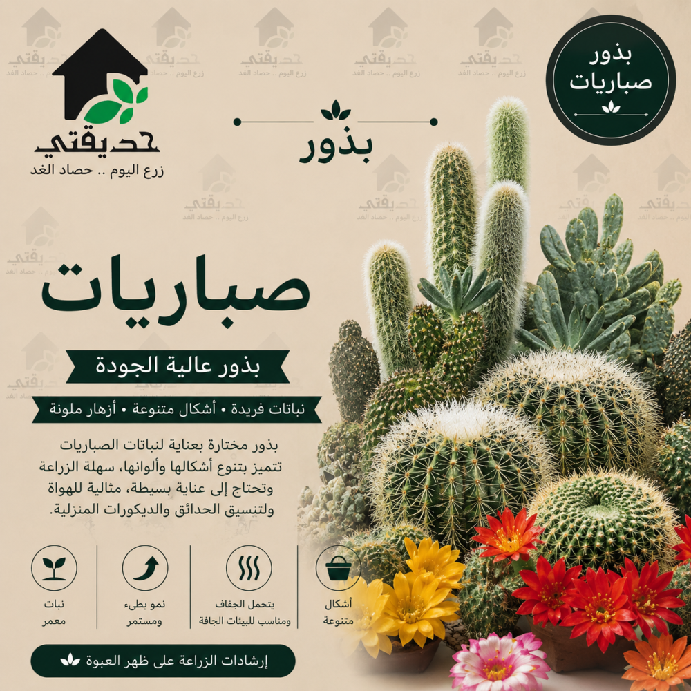 بذور صباريات