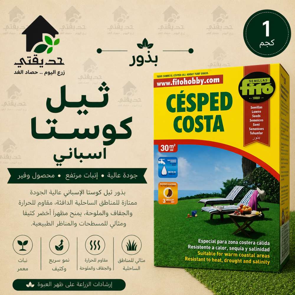 بذور ثيل كوستا اسباني 1 كجم