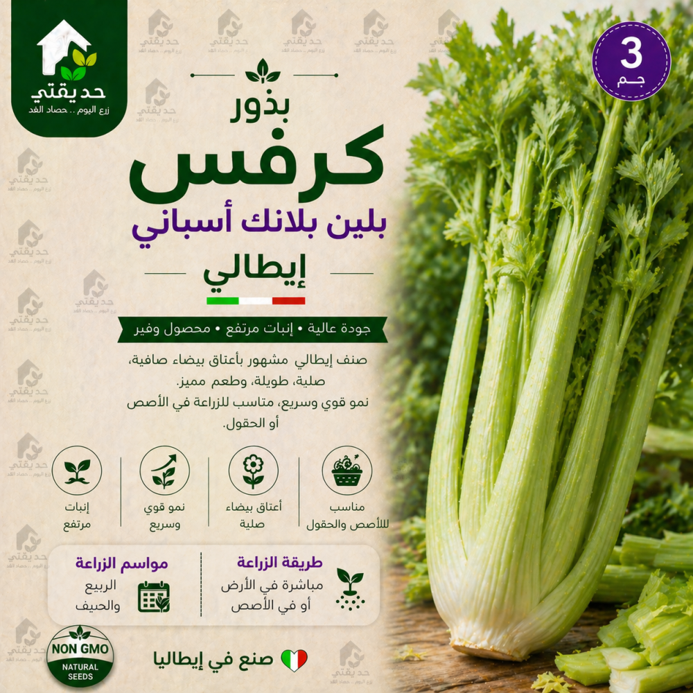 بذور كرفس بلين بلانك أسباني 3 جم