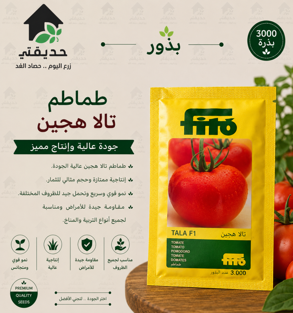 طماطم تالا هجين 3000 بذرة