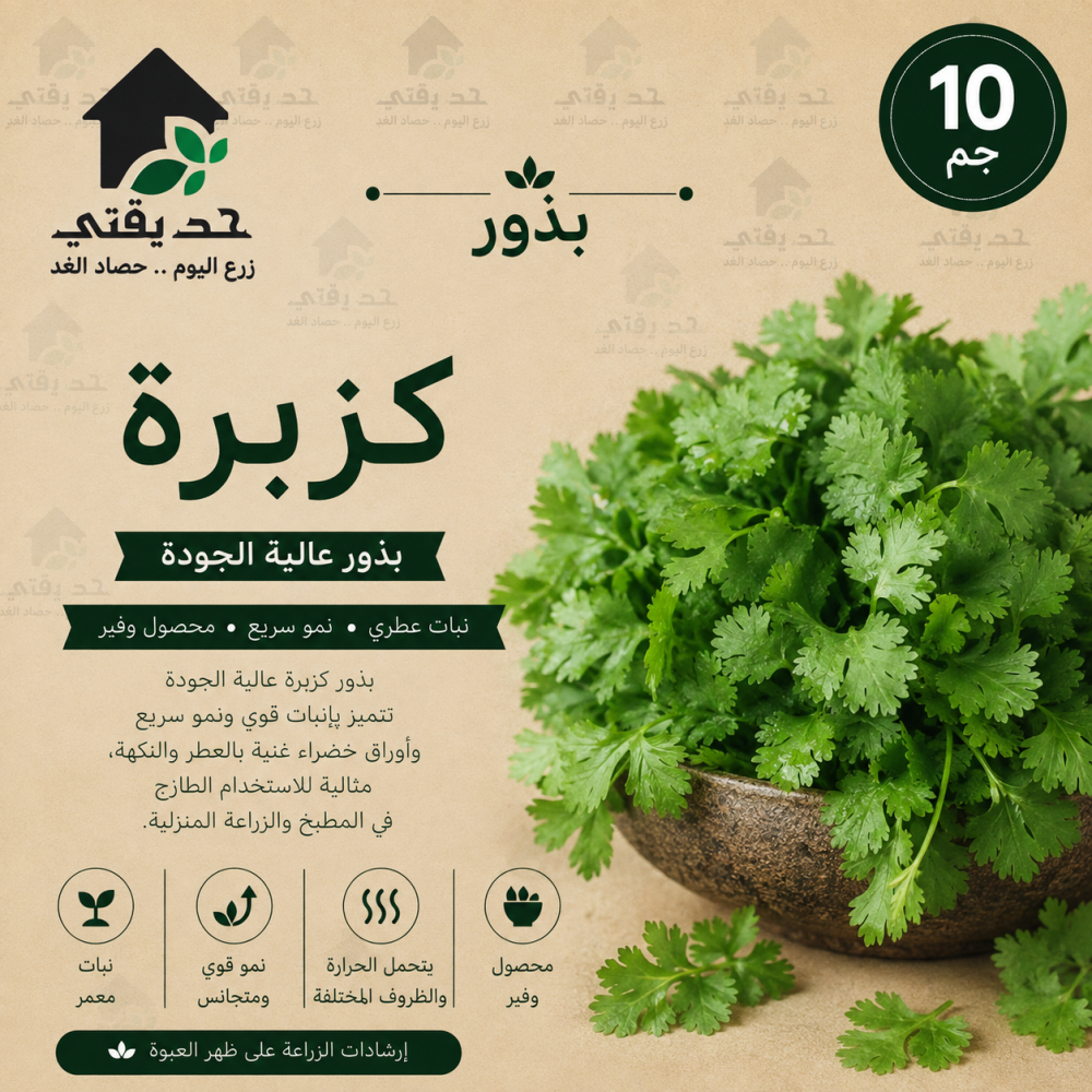 بذور كزبرة 10 جم