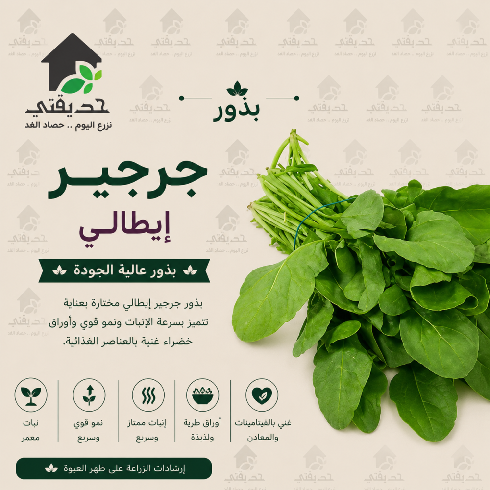 بذور جرجير ايطالي