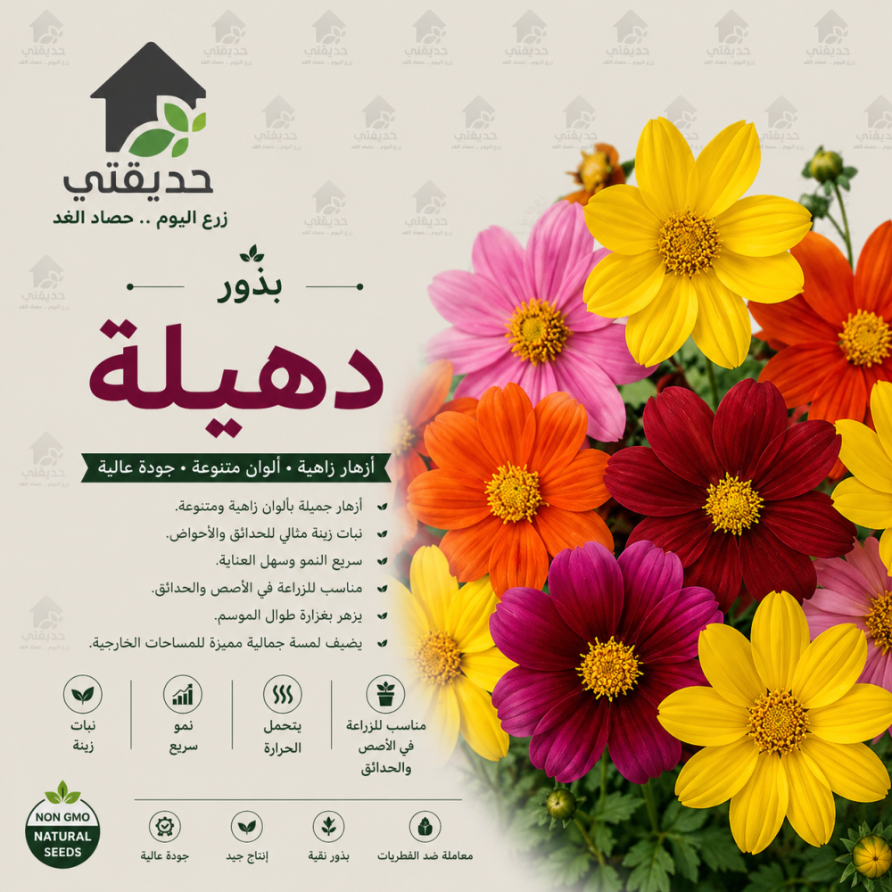 بذور دهيلة