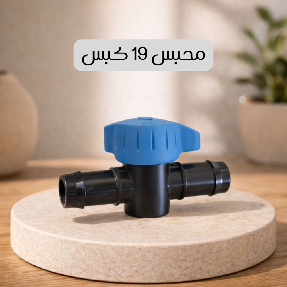 محبس 19 كبس