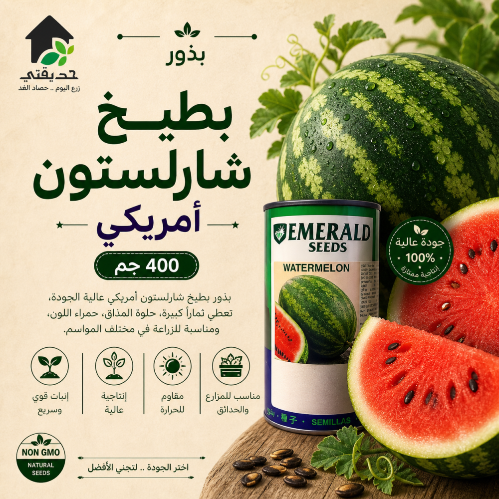 بذور بطيخ شارلستون امريكي 400 جم
