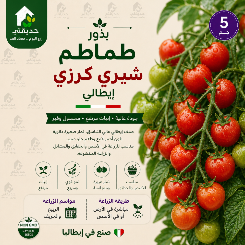 بذور طماطم شيري كرزي