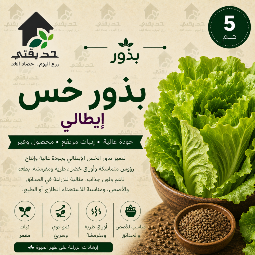 بذور خس ايطالي