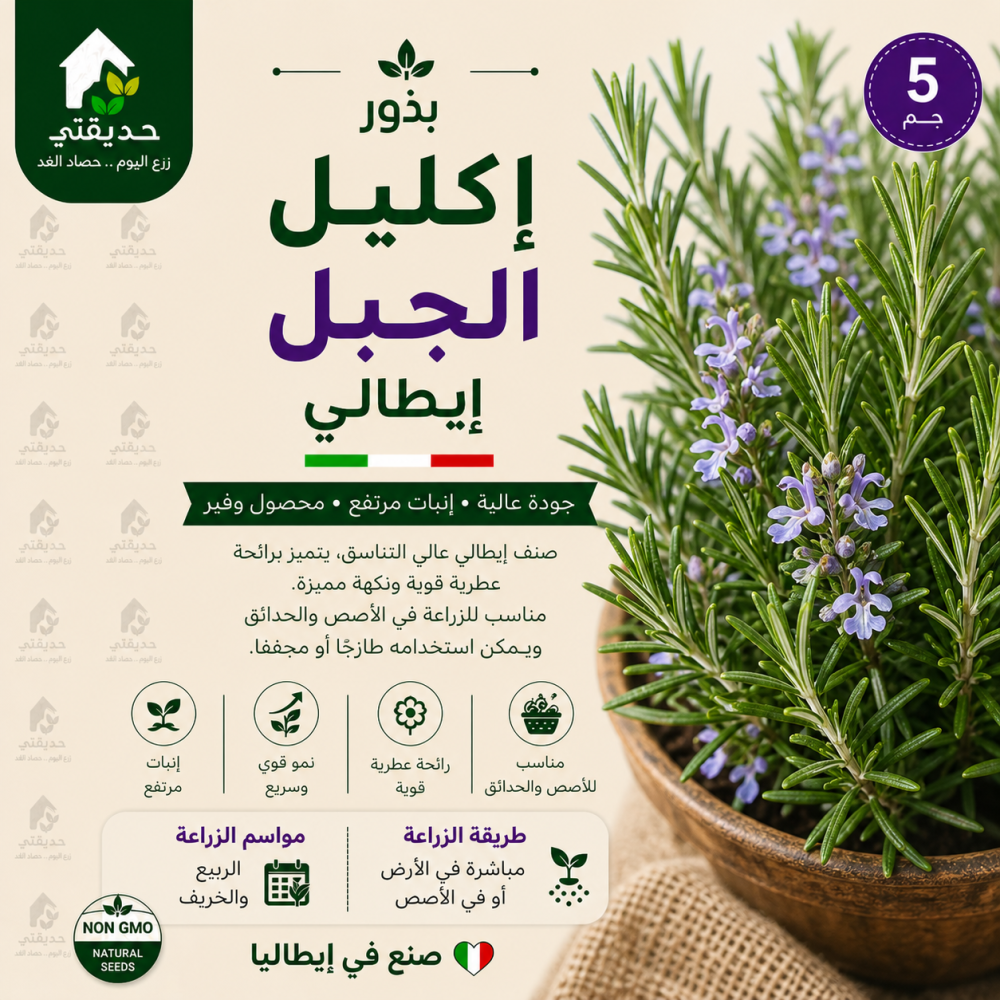 بذور اكليل الجبل