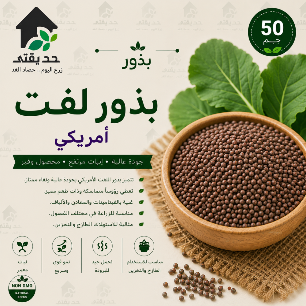 بذور لفت امريكي 50 جم