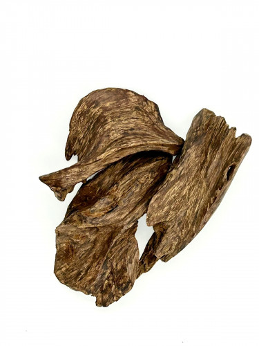 خشب عود مروكي