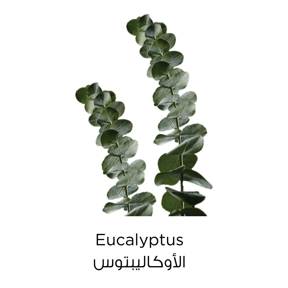 غسول منظف اوكاليبتوس والطين النقي