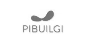 PIBUILGI