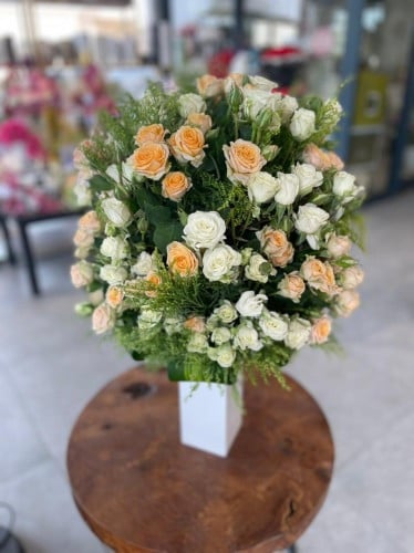 فازه كاليدا