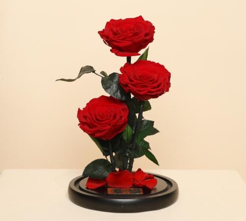 ورد دائم سنه