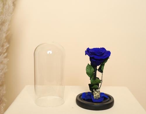 ورد دائم سنه