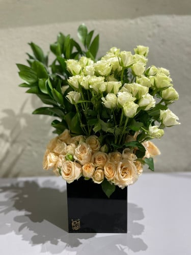 استاند الأسود