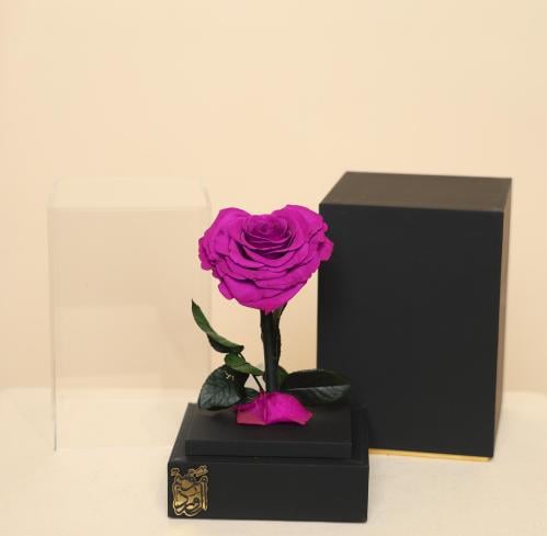 ورد دائم سنه