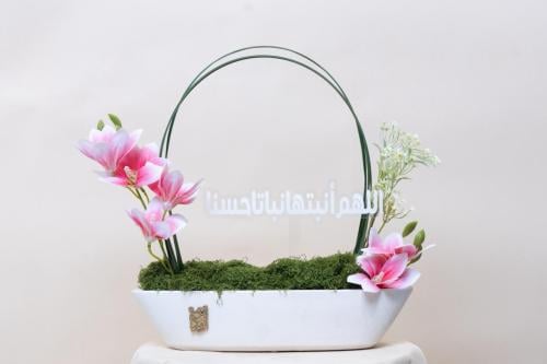 هدية مولودة