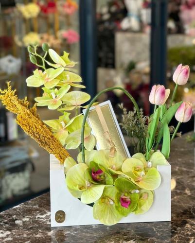 ستاند خشب مع بستاني