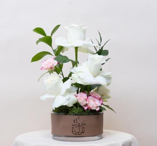 هدية مولودة