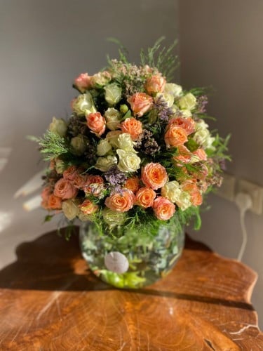 غابه البيبي جوري