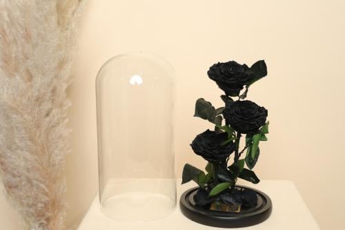 ورد دائم سنه