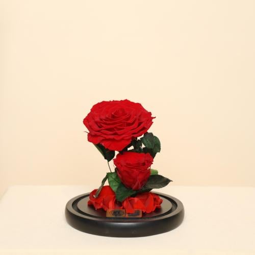 ورد دائم سنه