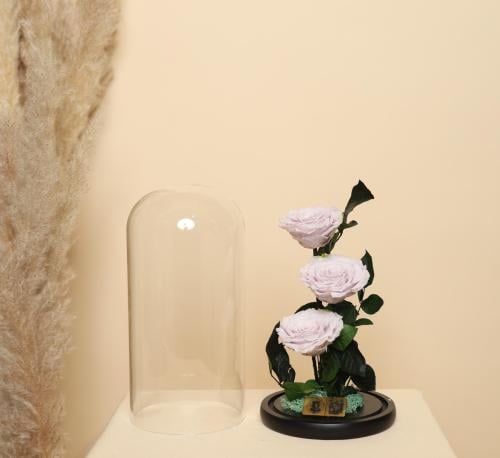 ورددائم سنه