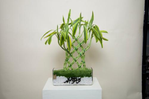 هدية بامبو للعيد