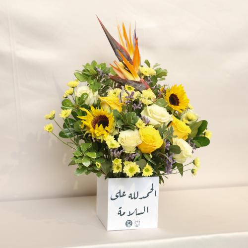 فازه السلامة