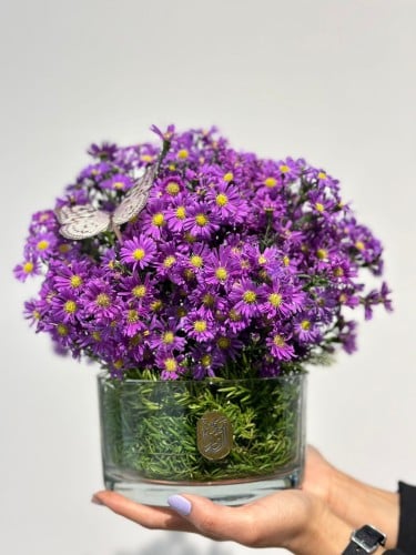 فازه ورد موف