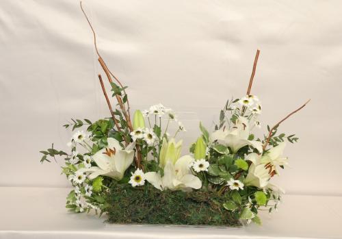 شنطة الطبيعة