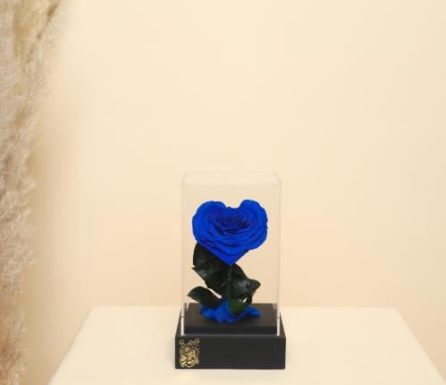 ورد دائم سنه على شكل قلب