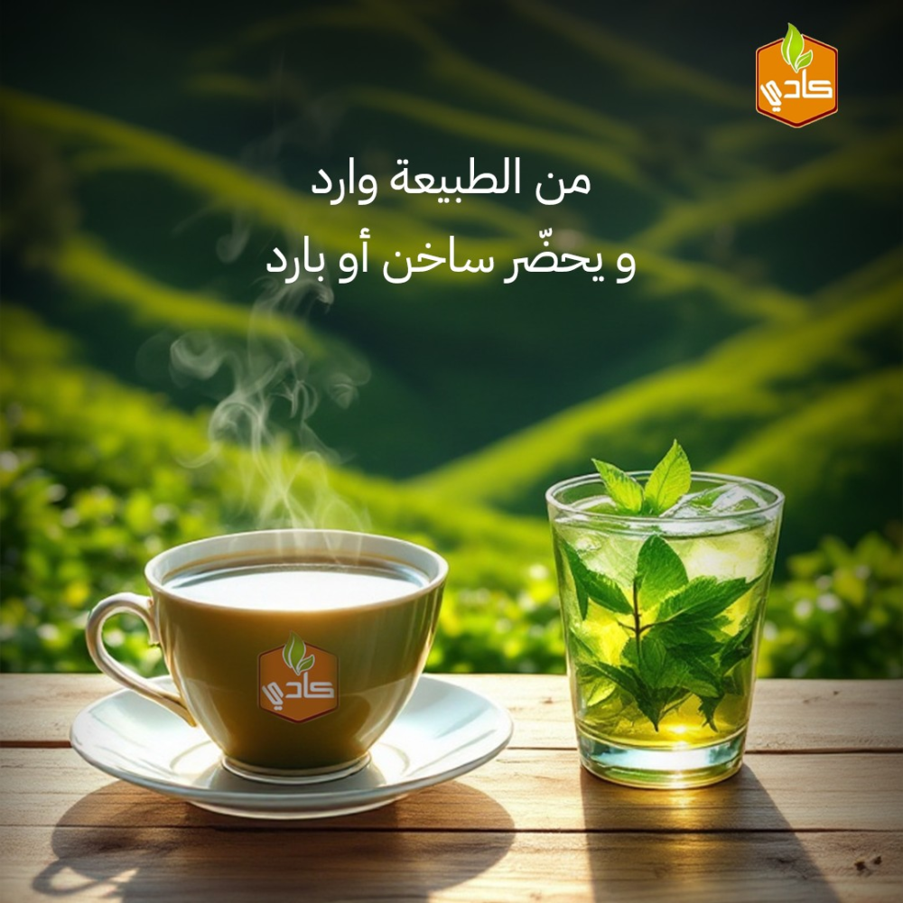 تأثيرات الشاي والقهوة الصحية على جسمك و عقلك