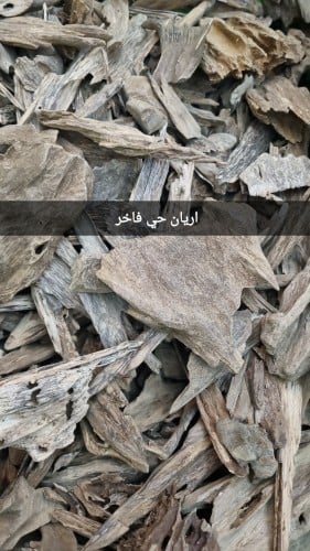 أريان حي دبل وسوبر مرتفع